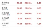 北京“苏超”爆火！300651，“20cm”涨停